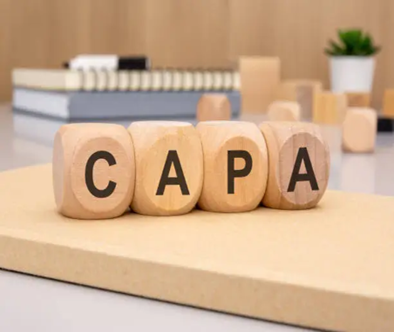 CAPA 이미지