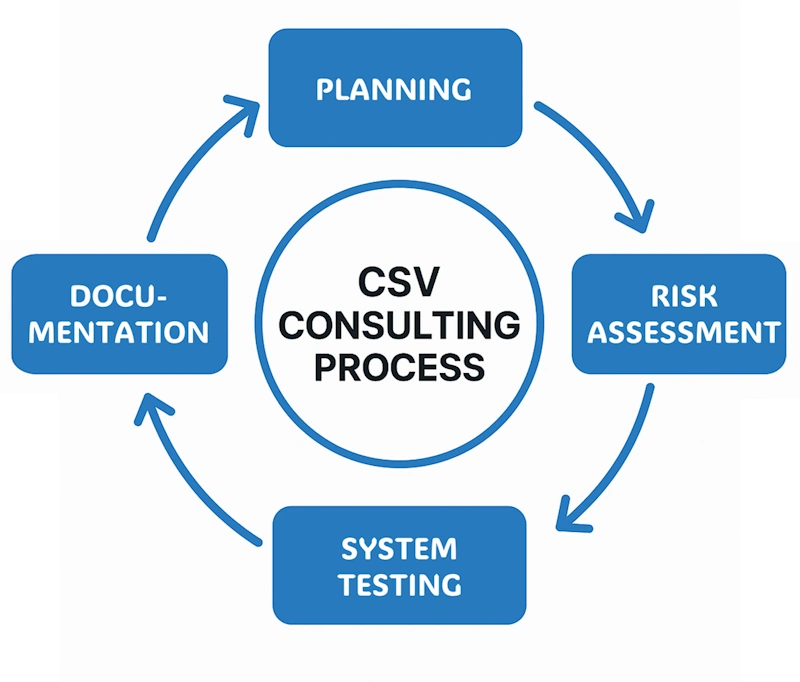 CSV 컨설팅 프로세스
